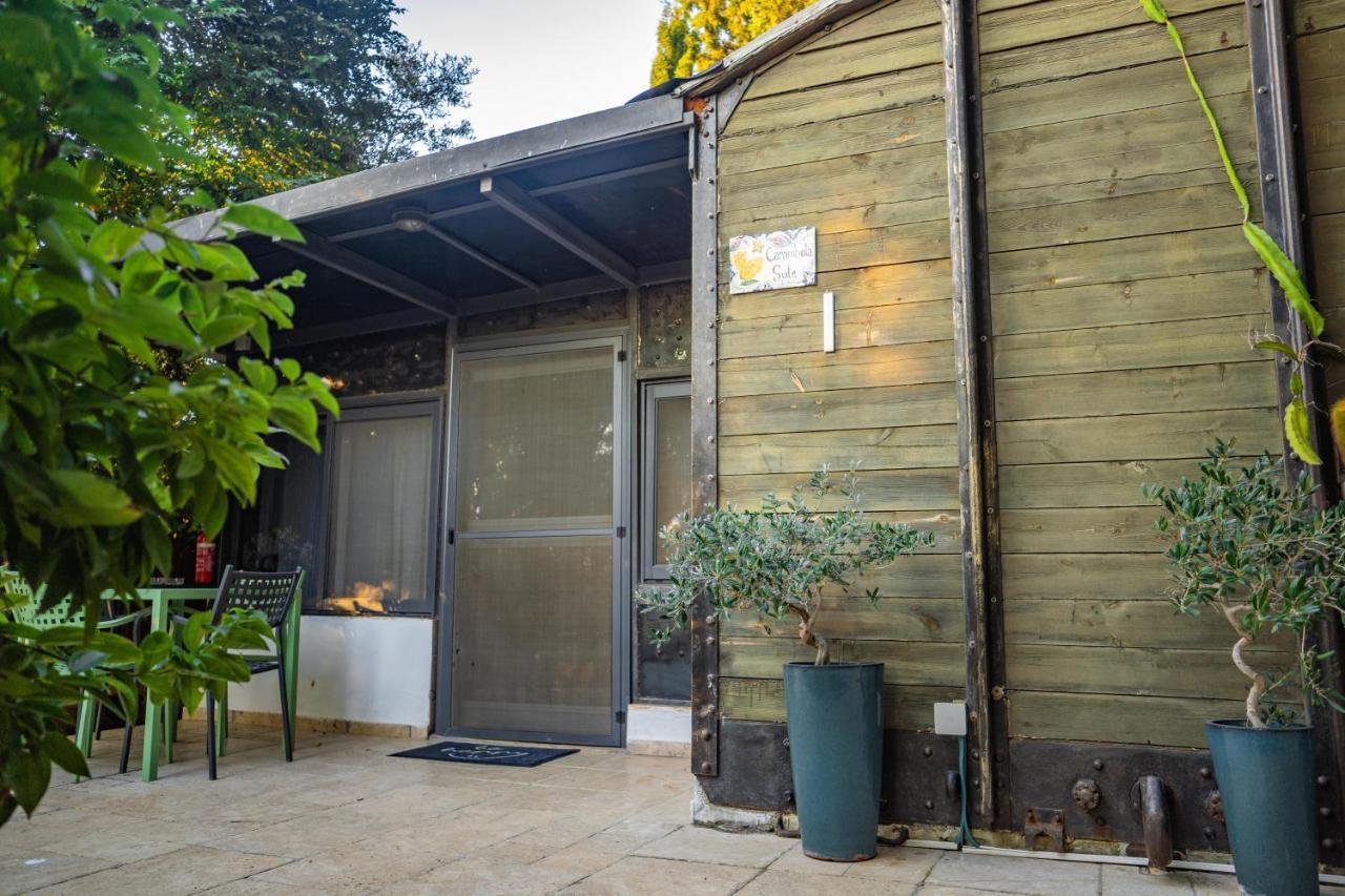 Lisa'S Farm Place Rischon LeZion Exterior foto
