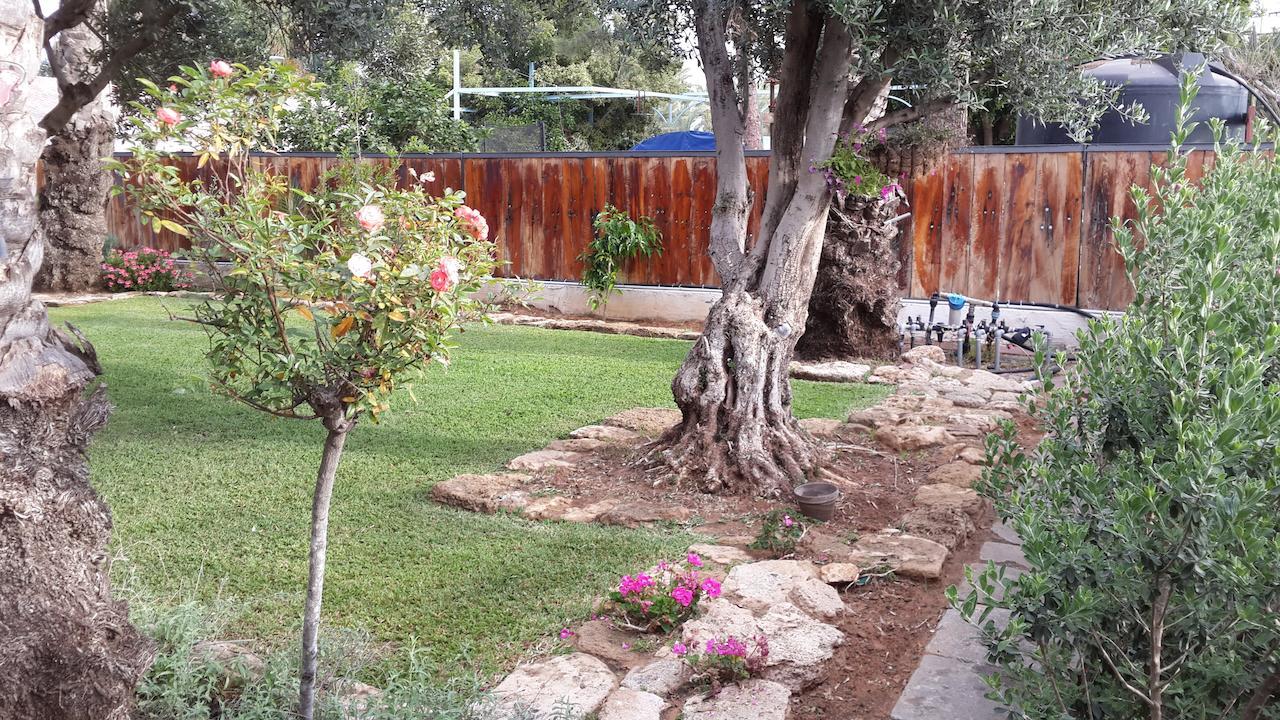 Lisa'S Farm Place Rischon LeZion Exterior foto